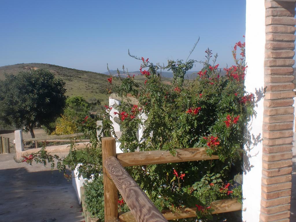 Horta Da Quinta Guest House Mertola Exterior photo